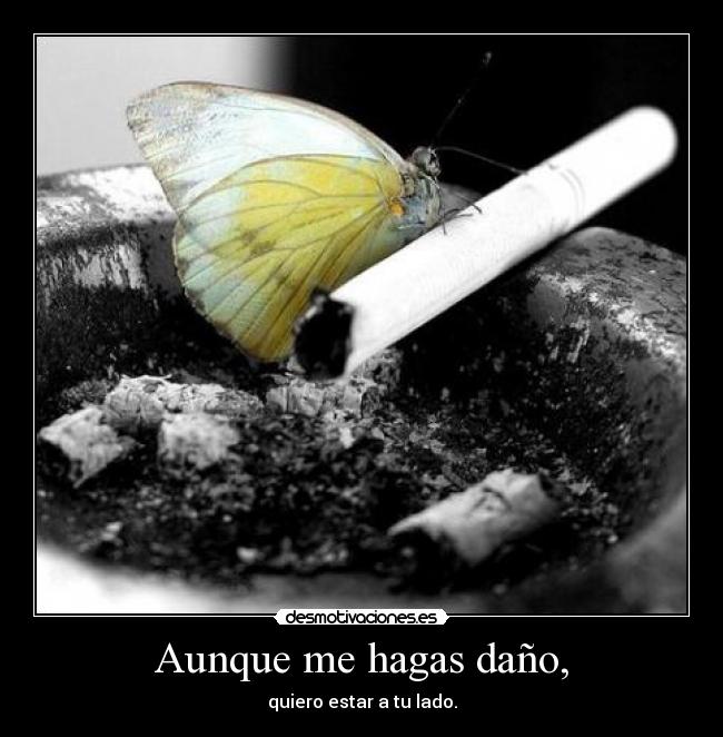 Aunque me hagas daño, - 