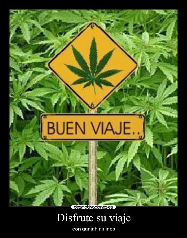 Disfrute su viaje - con ganjah airlines♥