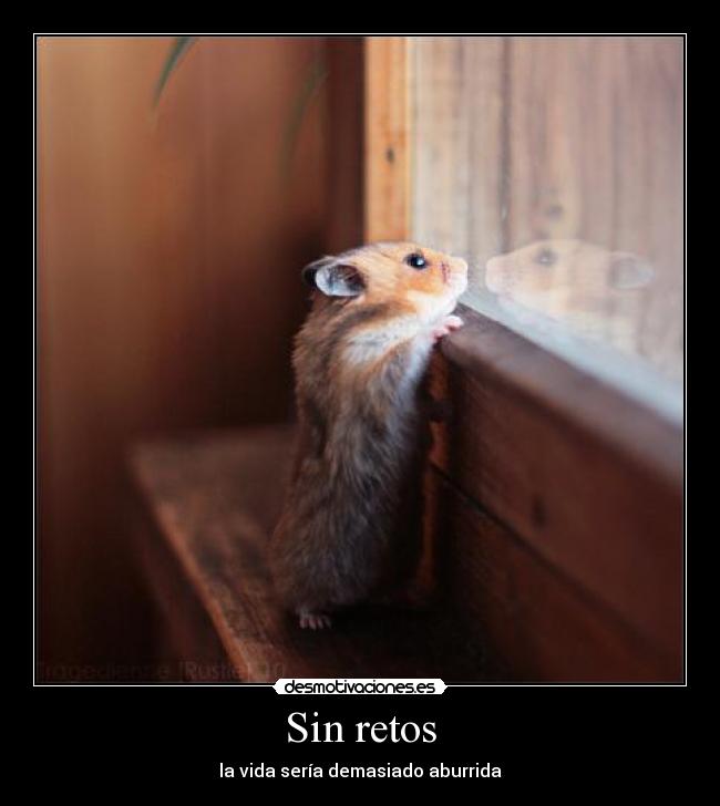 Sin retos -