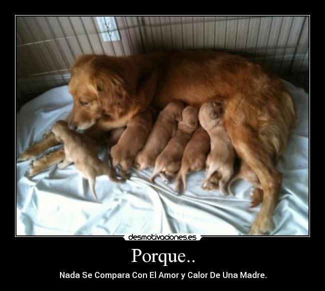 Porque.. - Nada Se Compara Con El Amor y Calor De Una Madre.