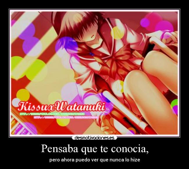 Pensaba que te conocia, - pero ahora puedo ver que nunca lo hize