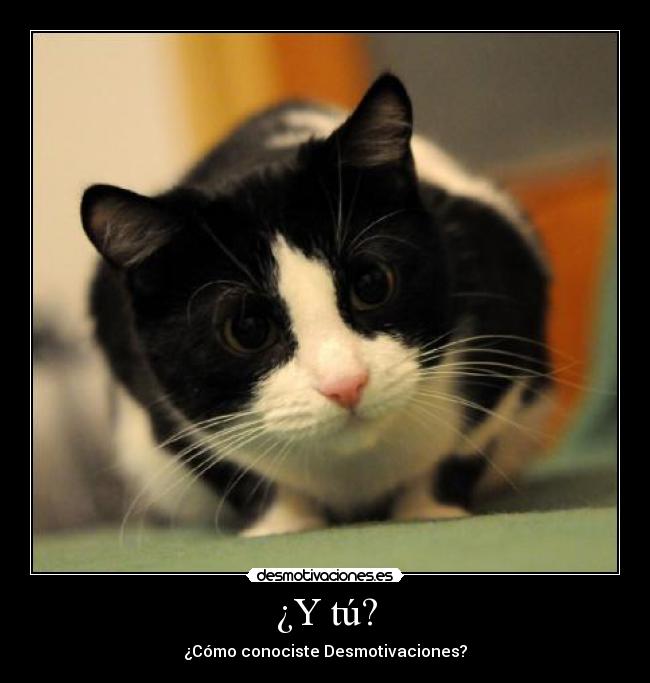 ¿Y tú? - ¿Cómo conociste Desmotivaciones?