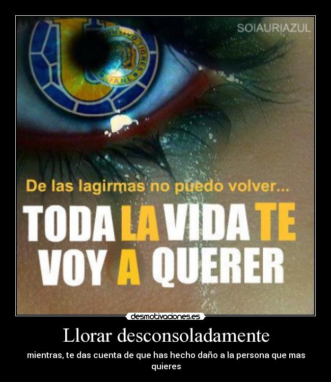 carteles llorar llorar desmotivaciones