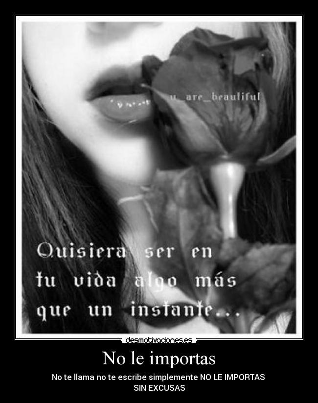 No le importas -