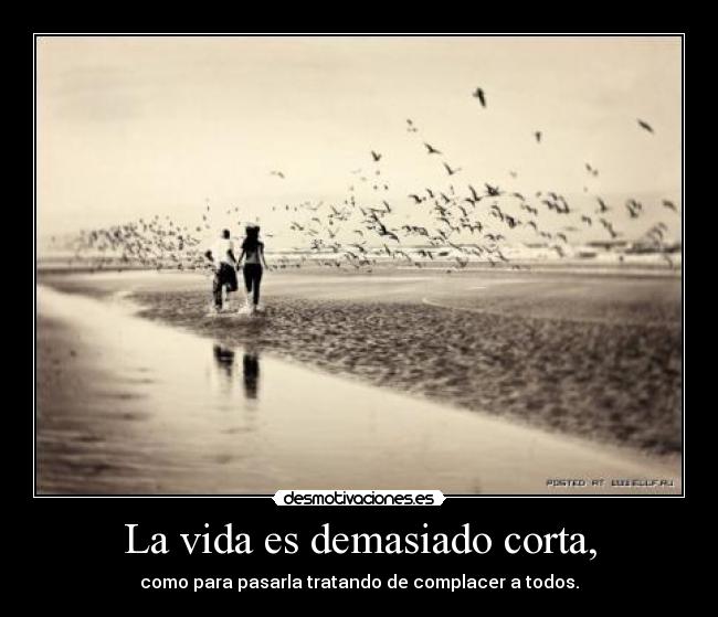 La vida es demasiado corta, - 