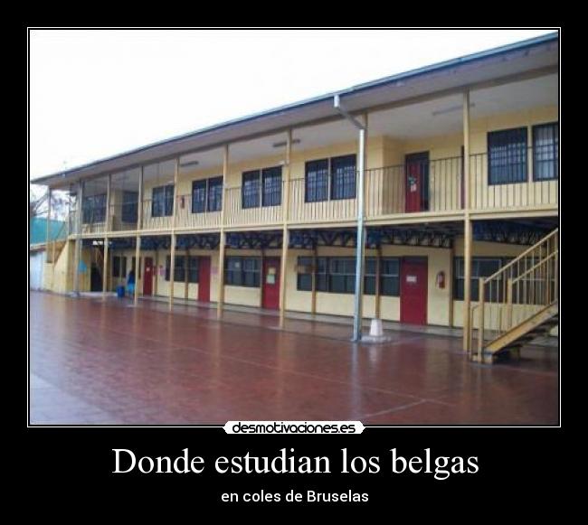 Donde estudian los belgas - 