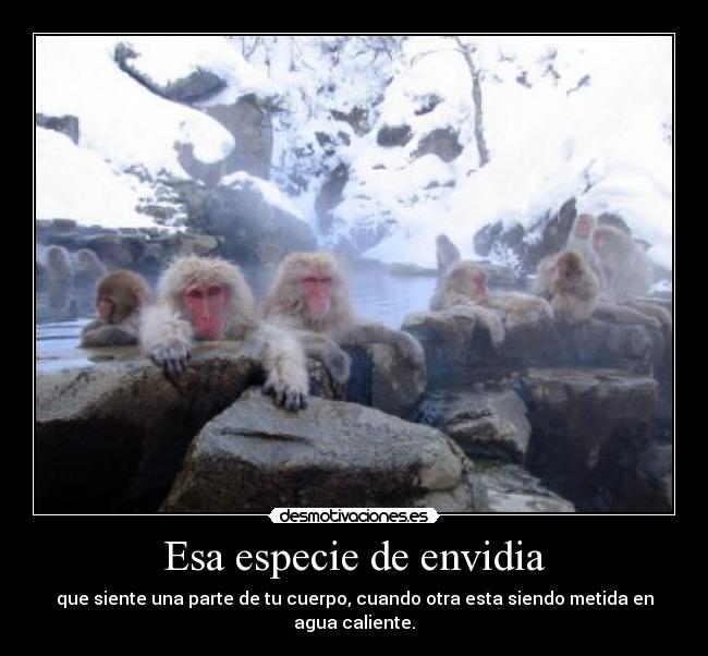 carteles envidia desmotivaciones