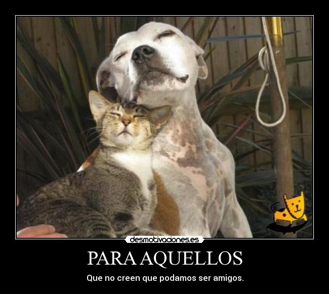 PARA AQUELLOS - Que no creen que podamos ser amigos.