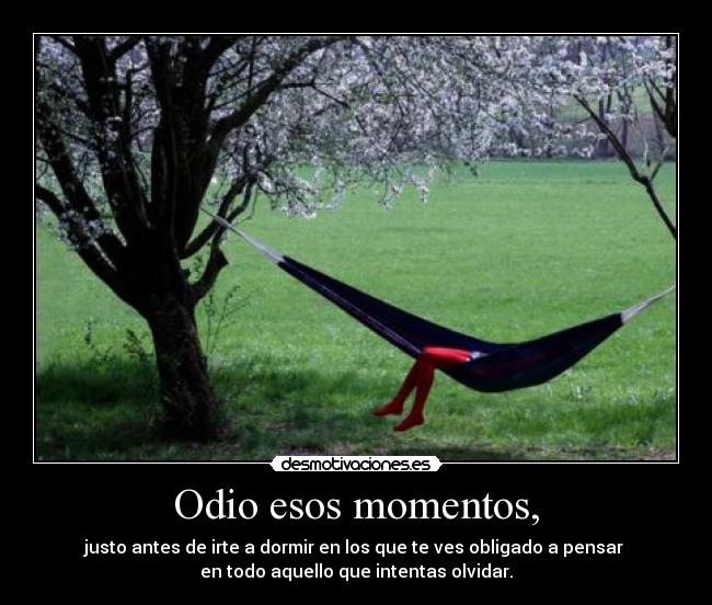 Odio esos momentos, - justo antes de irte a dormir en los que te ves obligado a pensar
en todo aquello que intentas olvidar.