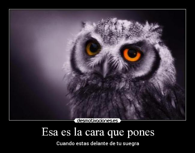 Esa es la cara que pones -