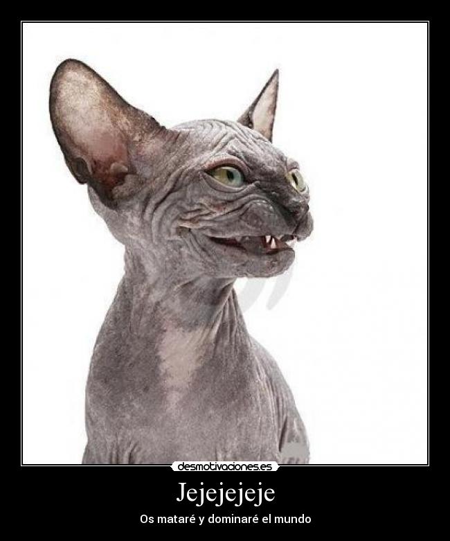Jejejejeje - Os mataré y dominaré el mundo