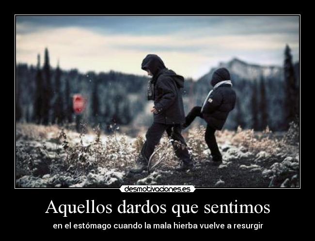 Aquellos dardos que sentimos - 