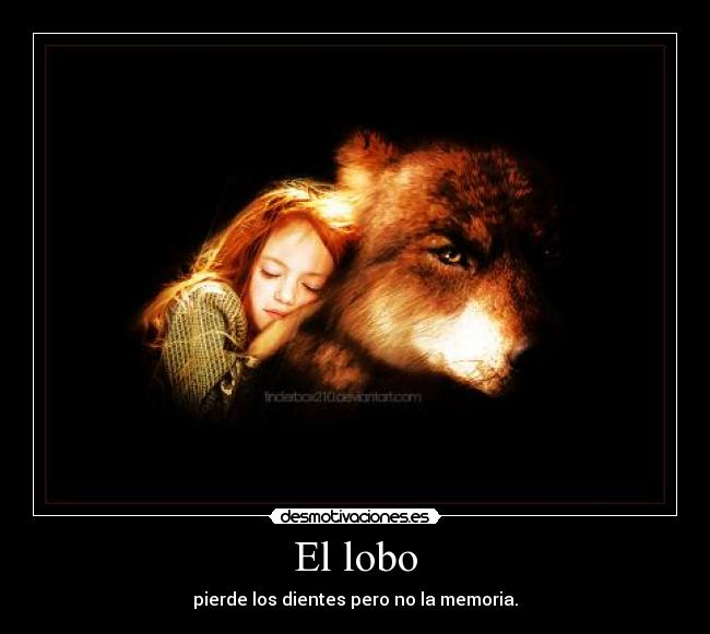 El lobo - 