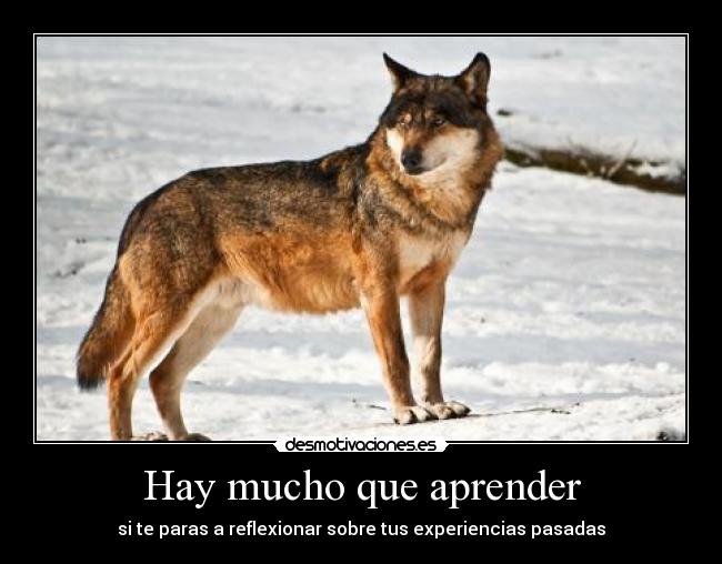 Hay mucho que aprender - 