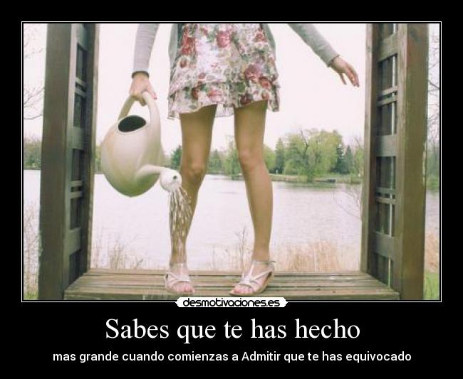 Sabes que te has hecho - 