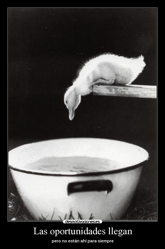 Las oportunidades llegan -