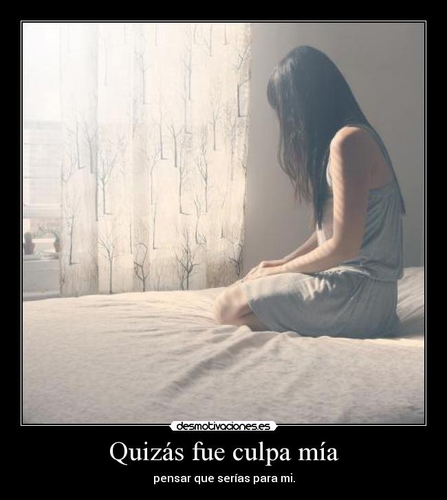 Quizás fue culpa mía -