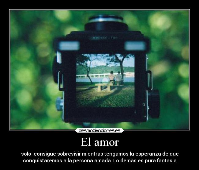 El amor -