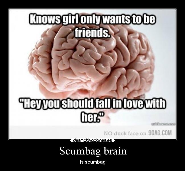 Scumbag brain - Is scumbag