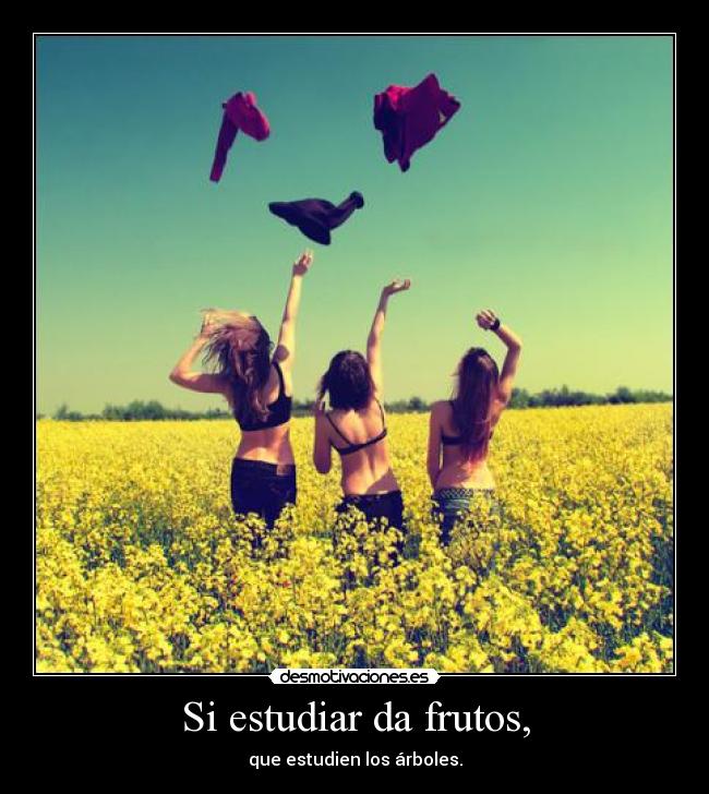 Si estudiar da frutos, -