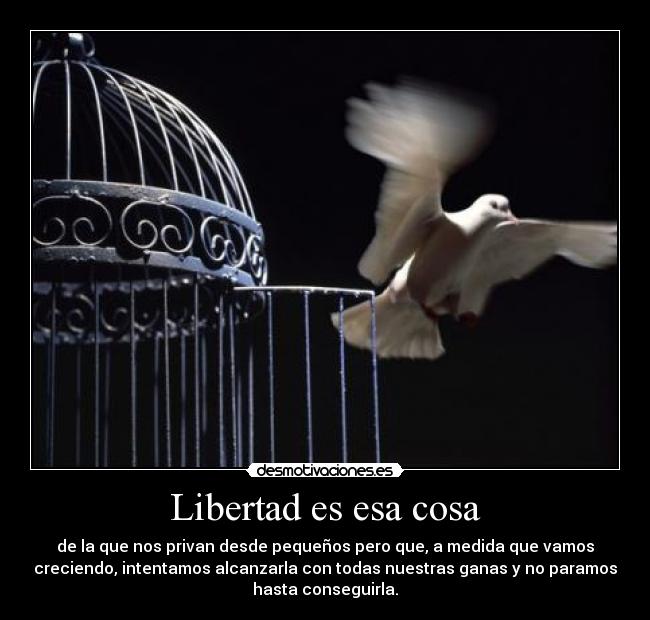 Libertad es esa cosa - 