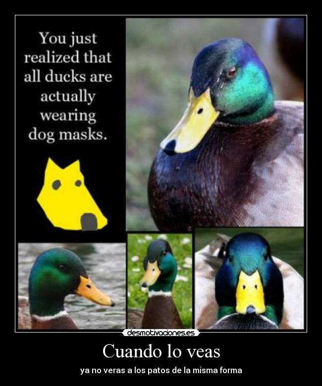 Cuando lo veas -