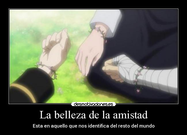 La belleza de la amistad -