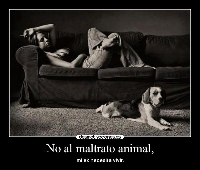 No al maltrato animal, -