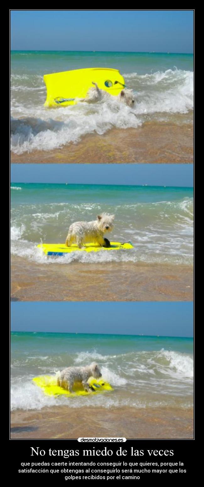 No tengas miedo de las veces -