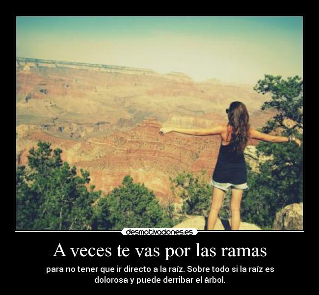 A veces te vas por las ramas -
