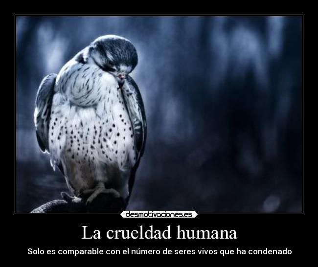 La crueldad humana - Solo es comparable con el número de seres vivos que ha condenado