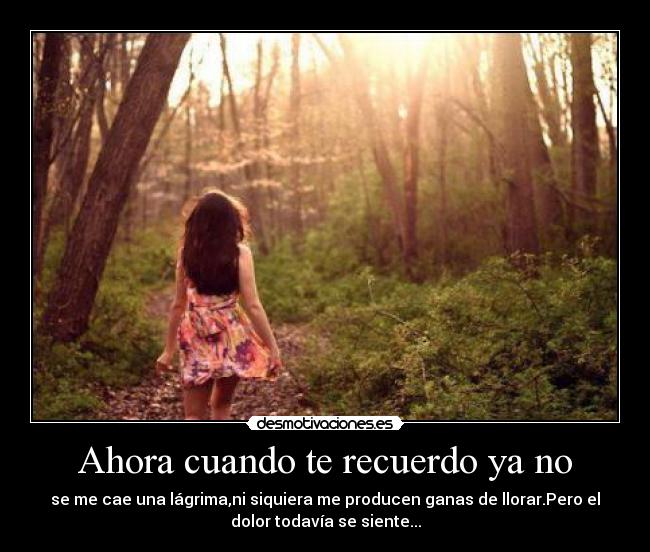 Ahora cuando te recuerdo ya no - se me cae una lágrima,ni siquiera me producen ganas de llorar.Pero el
dolor todavía se siente...