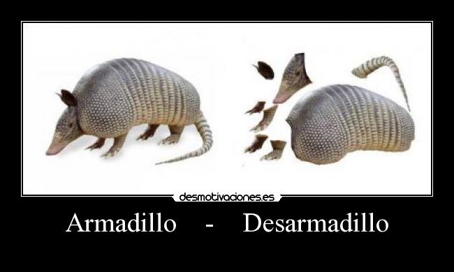 Armadillo - Desarmadillo -