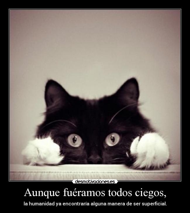 Aunque fuéramos todos ciegos, - la humanidad ya encontraría alguna manera de ser superficial.