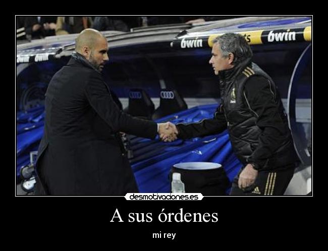 A sus órdenes - mi rey