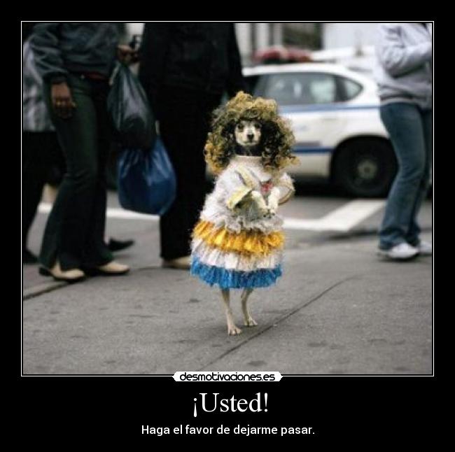 ¡Usted! - Haga el favor de dejarme pasar.