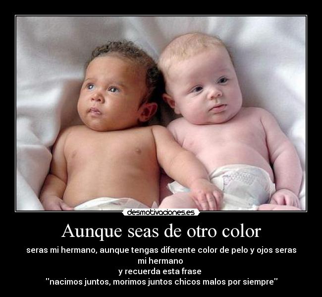 Aunque seas de otro color - seras mi hermano, aunque tengas diferente color de pelo y ojos seras mi hermano
y recuerda esta frase
nacimos juntos, morimos juntos chicos malos por siempre