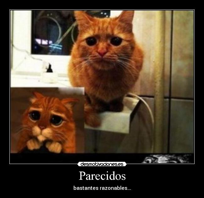 Parecidos - bastantes razonables...
