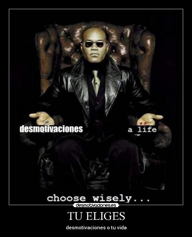TU ELIGES - desmotivaciones o tu vida