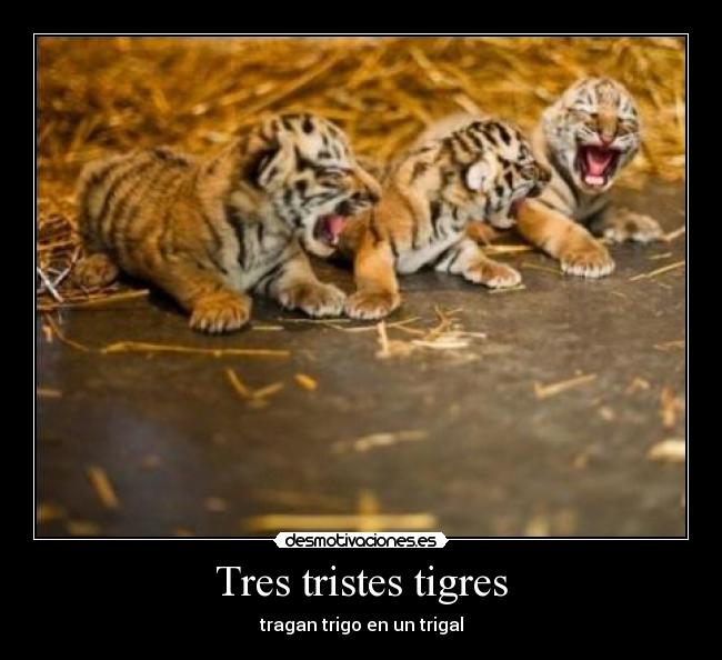 Tres tristes tigres Desmotivaciones