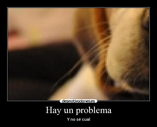 carteles miguelrap con otro megacartel desmotivaciones