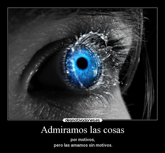 Admiramos las cosas - 