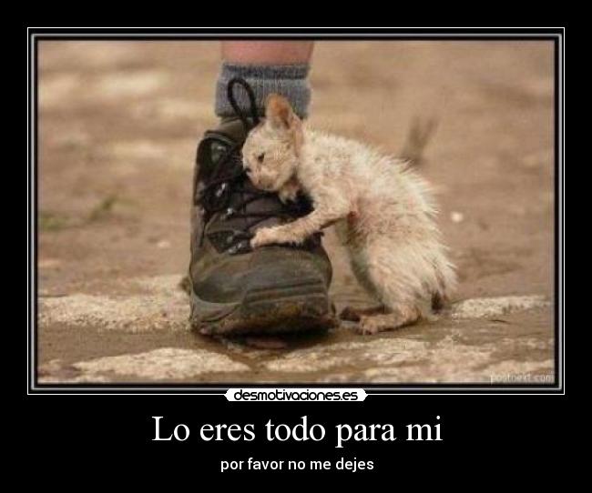 Lo eres todo para mi - por favor no me dejes