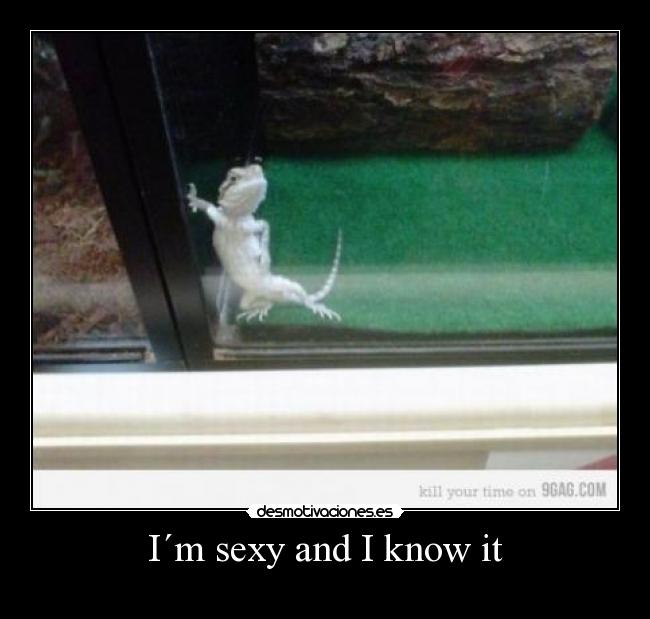 I´m sexy and I know it - 