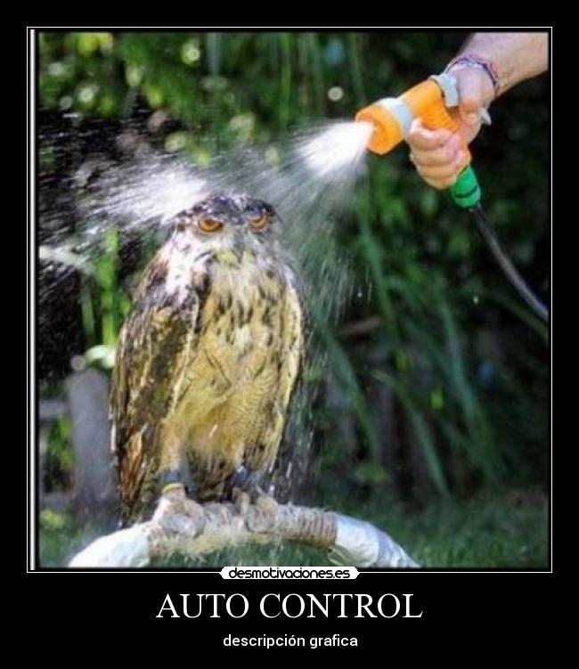 AUTO CONTROL - descripción grafica