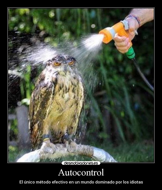 Autocontrol - 