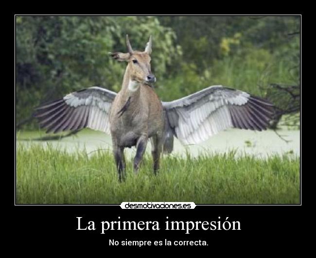 La primera impresión - 