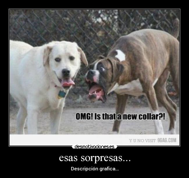 esas sorpresas... -
