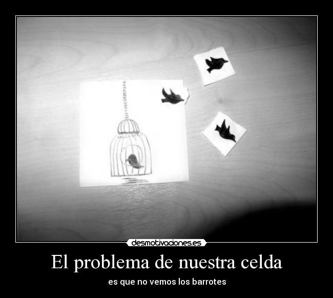 El problema de nuestra celda -