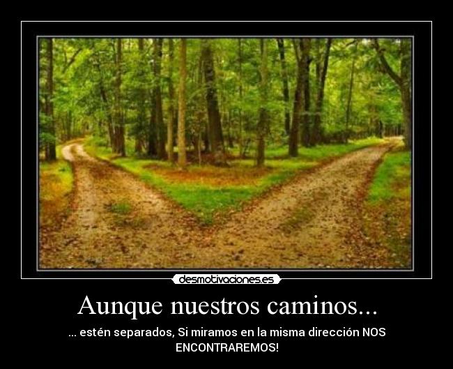 carteles caminos nuestros separar separados mirar miramos direccion direccion misma encontrar encontraremos desmotivaciones